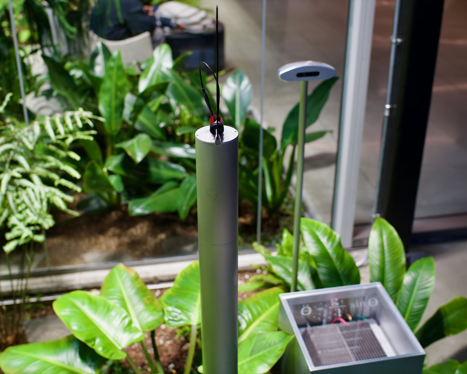 Pendulum through greenhouse glass