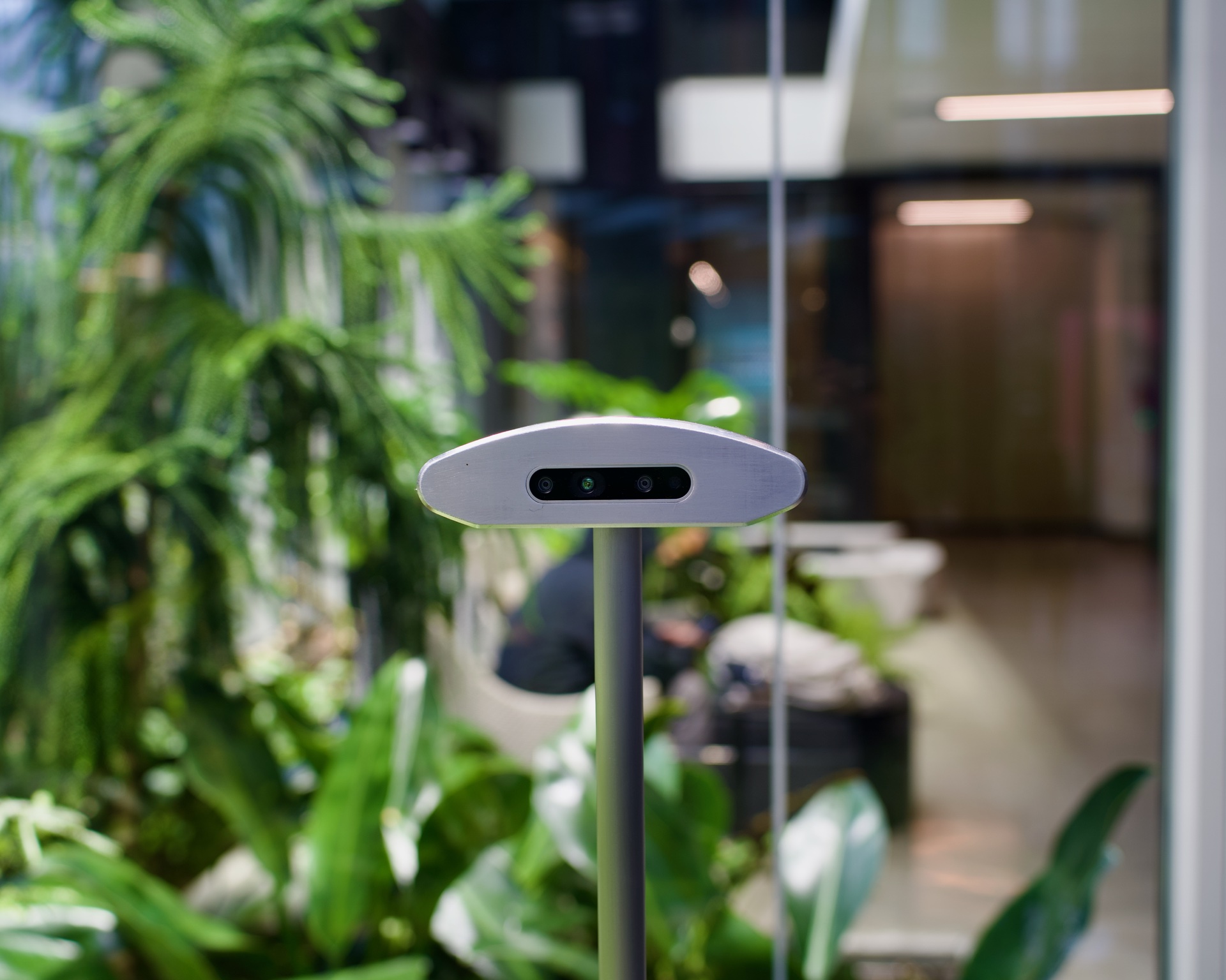 Sensor head among tropical plants