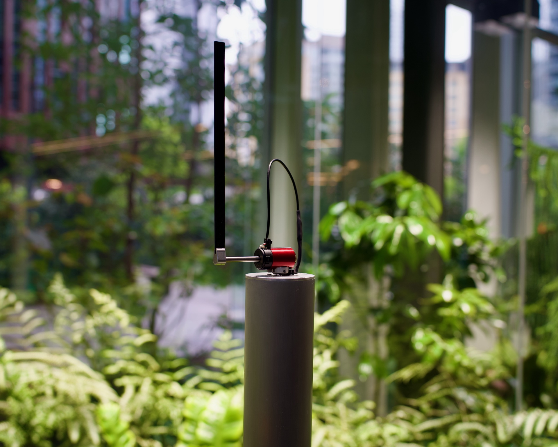 Pendulum in greenhouse setting