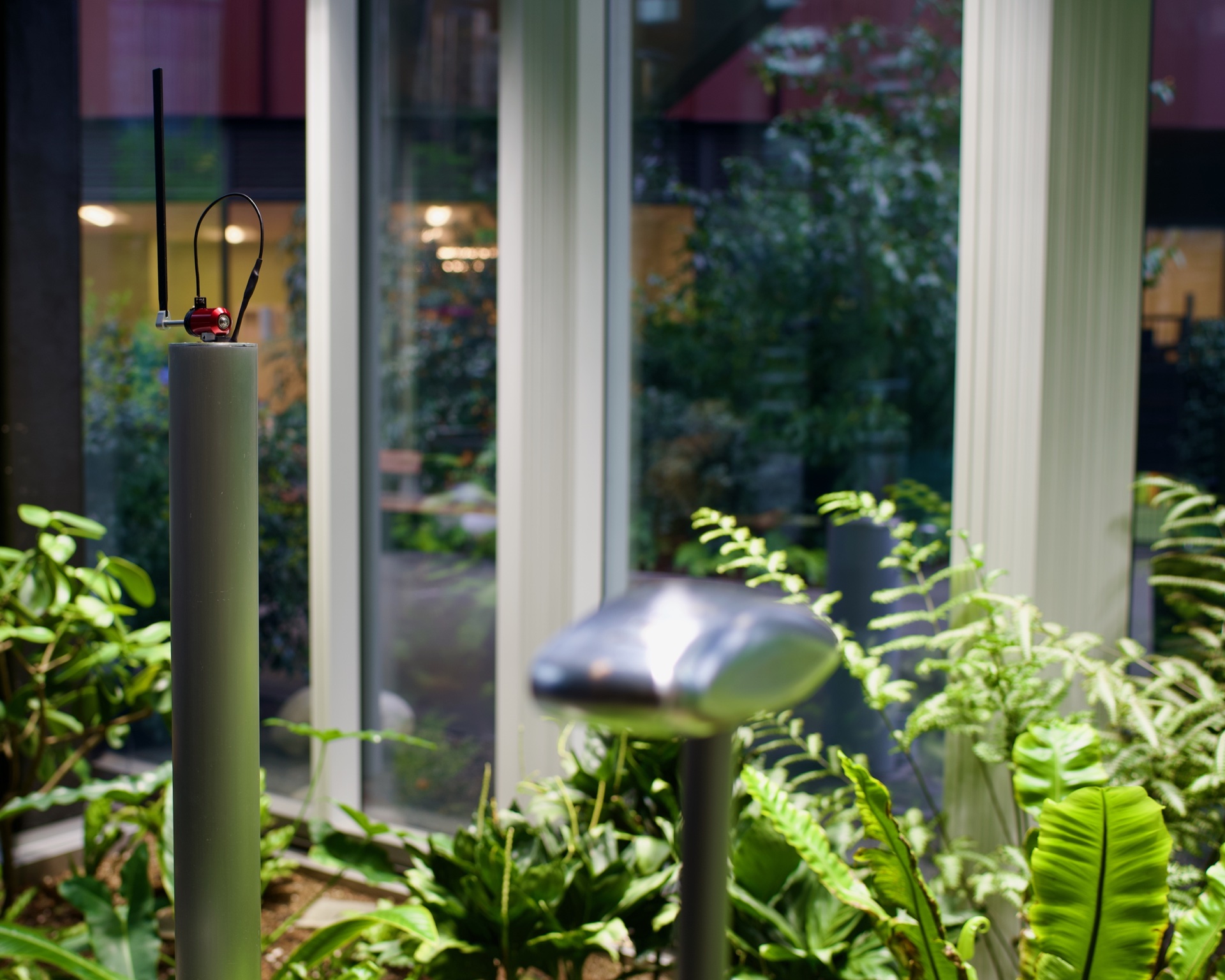 Pendulum in garden context