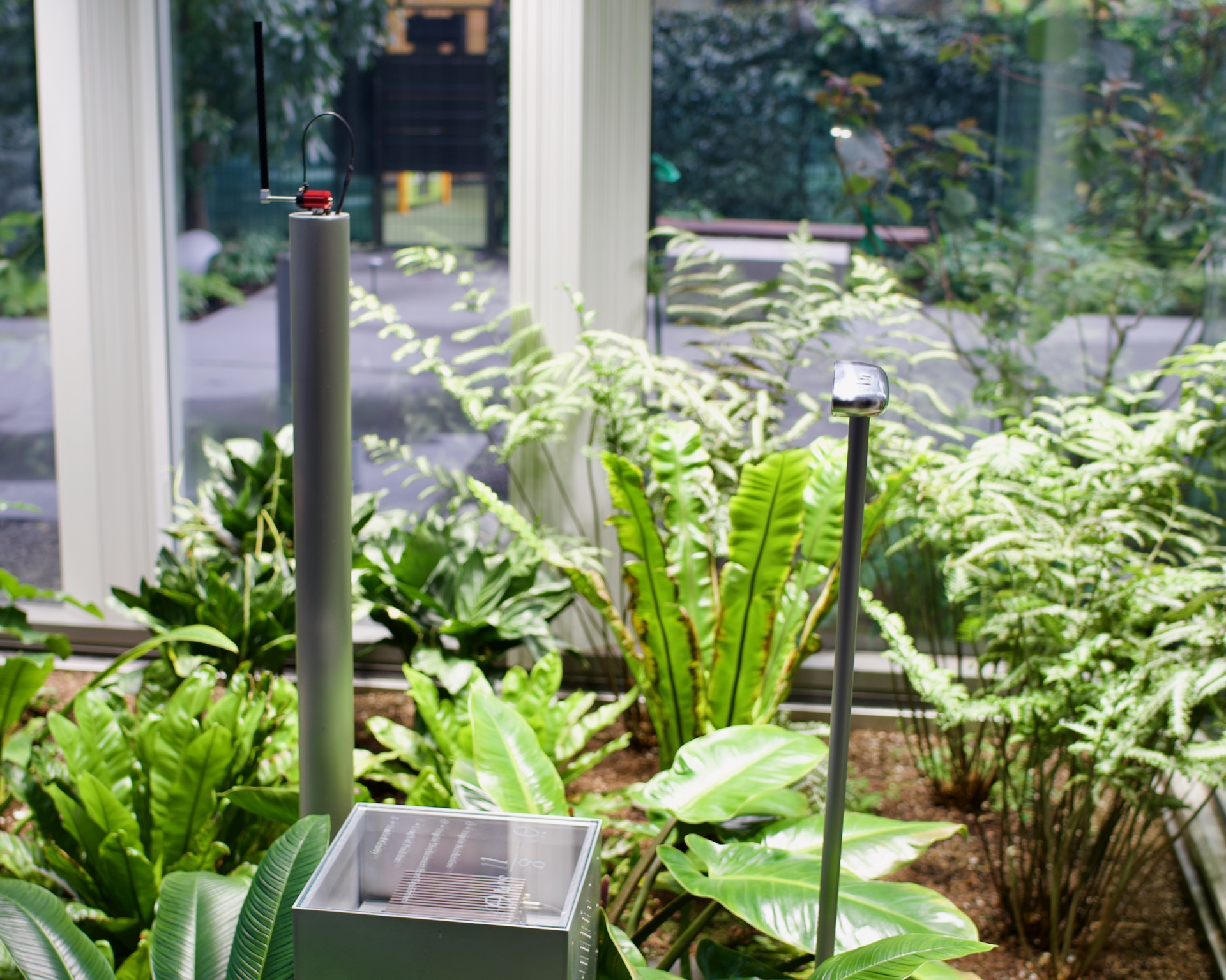 Pendulum and sensor head in garden